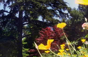Appartements détente & nature - Domaine de La Thiau - Photo 83