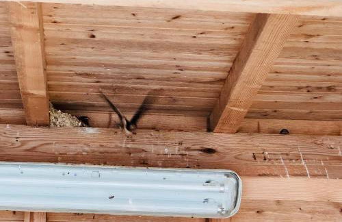 la vallée du paradis studio avec balnéothérapie en campagne - Foto 55