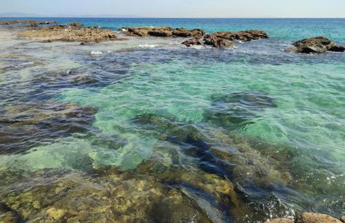 El Abejaruco - Foto 27