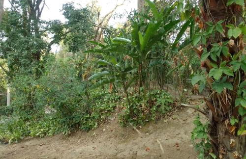 Casa Penedo Martinelli - Tranquilidade e muito verde - Photo 28