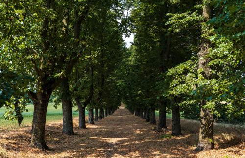 Il Viaggio Impresa Sociale - Photo 24