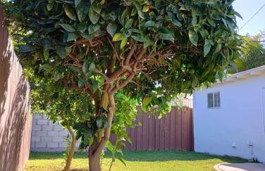 Modern Peaceful Private Oasis Near The Beach - Foto 27