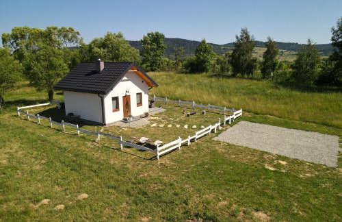 Bieszczadzka Zasadzka - Foto 1