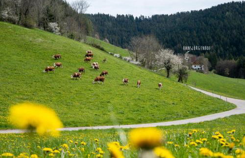 Hansjörgenhof Bioland-Hof - Foto 32
