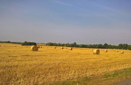Zur Schwedenschanze 2 - Foto 29