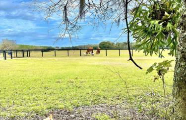 Couples Cottage - Serene Getaway - Foto 69