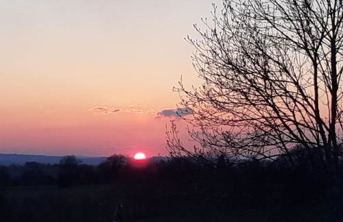 Le Nid des Avezous - Foto 24