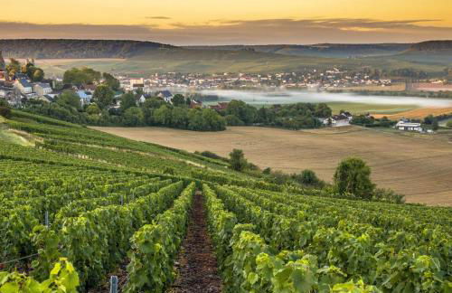 Les Bulles de Bonheur - Au Cœur du Vignoble Champenois - Foto 44