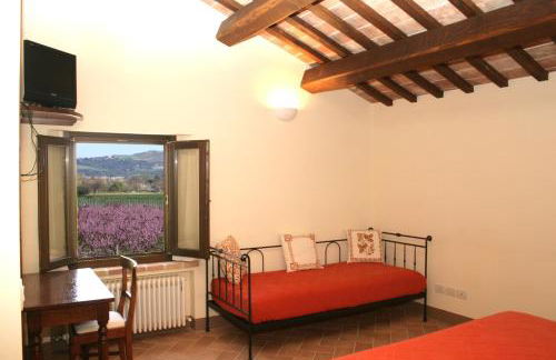 FATTORIA DELLA BILANCIA - Foto 9