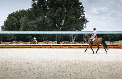 Idyllic Anthony Home Riding Arena with Mirror Wall! - Photo 25