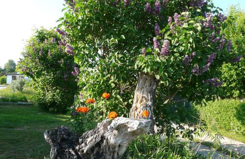 Appartement auf Rügen - Foto 41