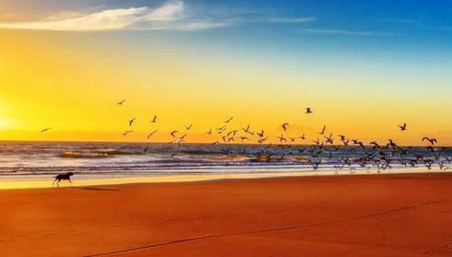 Romantic Cosy Cottage with Beach & Attractions just mins away! Perfect for Couples & Family Stays - Free Parking, Large Garden & Free WiFi - Foto 4