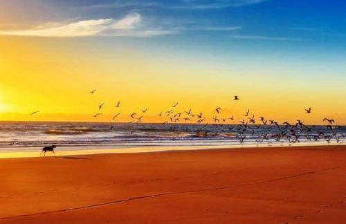 Romantic Cosy Cottage with Beach & Attractions just mins away! Perfect for Couples & Family Stays - Free Parking, Large Garden & Free WiFi - Foto 4