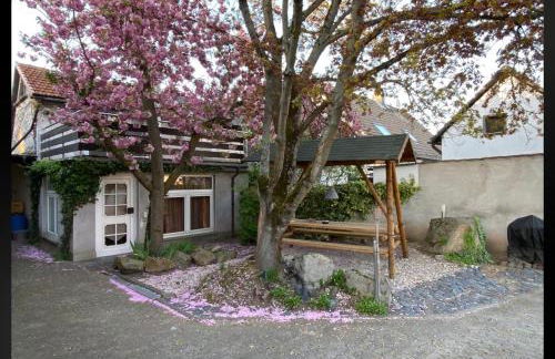 Nest & Rest Homes - Foto 1