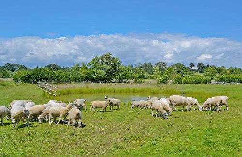 Apple Cottage - 27442 - Foto 10