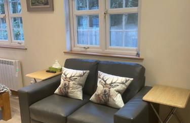 Wrens nest - Foto 11