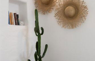 Nerites residence in Apollonia Sifnos - Foto 24