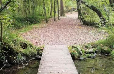 Apartament Natura amb Calma - Foto 19