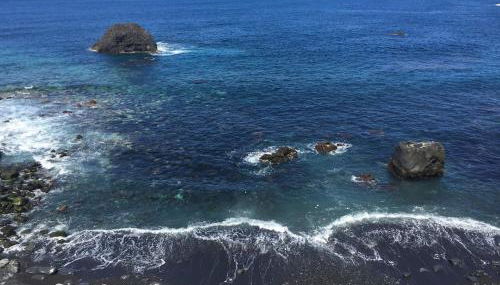 Los Alenes en Flor - Foto 5