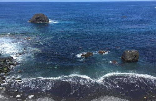 Los Alenes en Flor - Foto 5