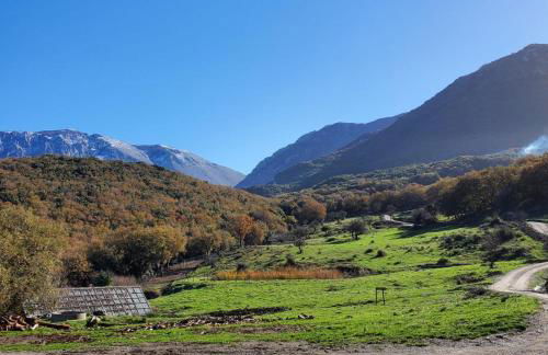 Eco-Chalet Casa delle Volpi - Agriturismo Volpignano - Foto 14