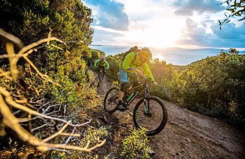 wine apartment le sedici - Foto 38