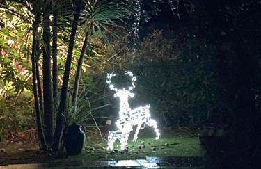 Pond View - Cottage with beautiful views - Dogs welcome by request - Foto 30