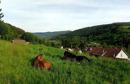 Gîte de famille dans les Vosges - Foto 10