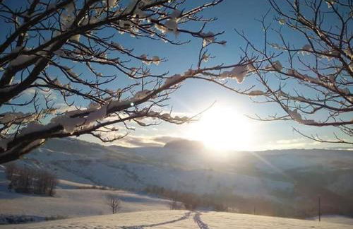 Fra Bosco e Cielo B&B - Foto 23