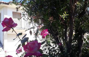 Mama Sofias House Cozy 2 Bedroom Apartment - Foto 28