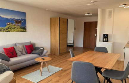 AlpinLounge Scheidegg - Studio mit Wellness und Bergblick - Foto 10