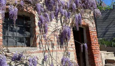 La casa di Noah - Foto 3