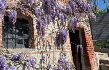 La casa di Noah - Photo 11