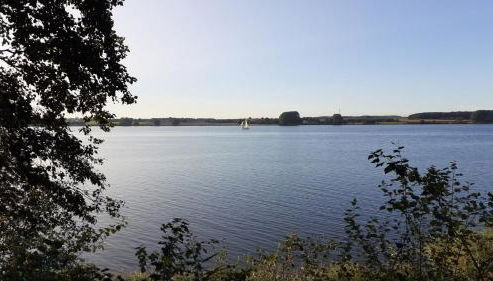 Ferienhaus Waldidyll - Erholung zwischen Schlei und Ostsee - Foto 4