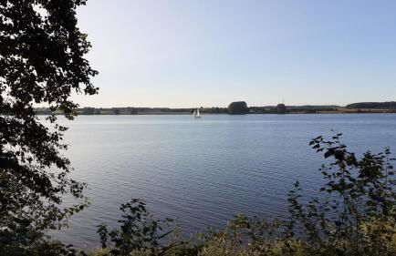 Ferienhaus Waldidyll - Erholung zwischen Schlei und Ostsee - Foto 4