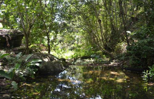Sitio Alto da Montanha - você em paz com a natureza - Foto 52