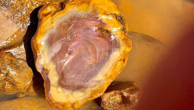 Kayaking on the Poti River - Foto 4