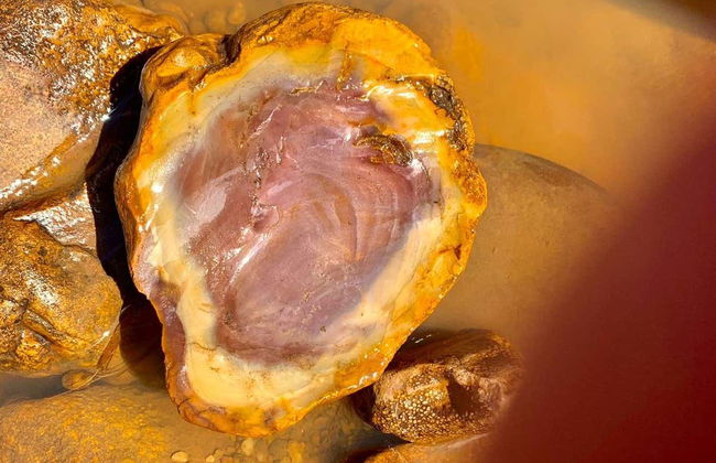 Kayaking on the Poti River - Foto 4