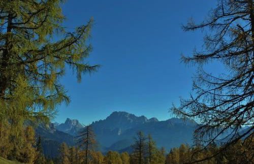 Chalet Laura - Foto 37