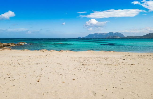 Le Dimore di Nettuno 2 With Pool - Foto 5