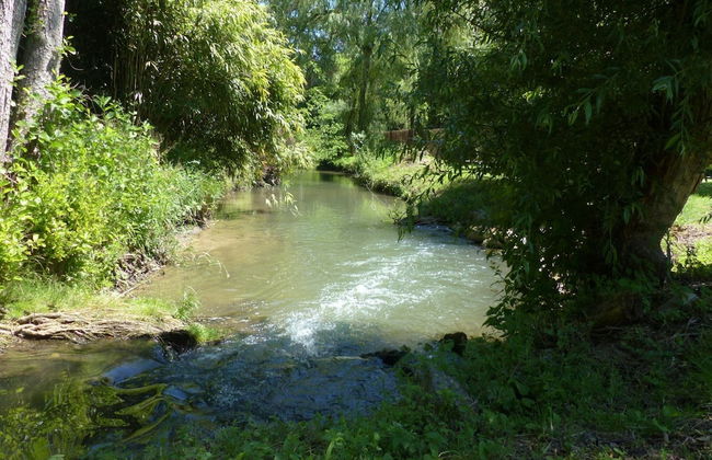 Charming Chalet in Falaen by River & Chateau - Foto 39