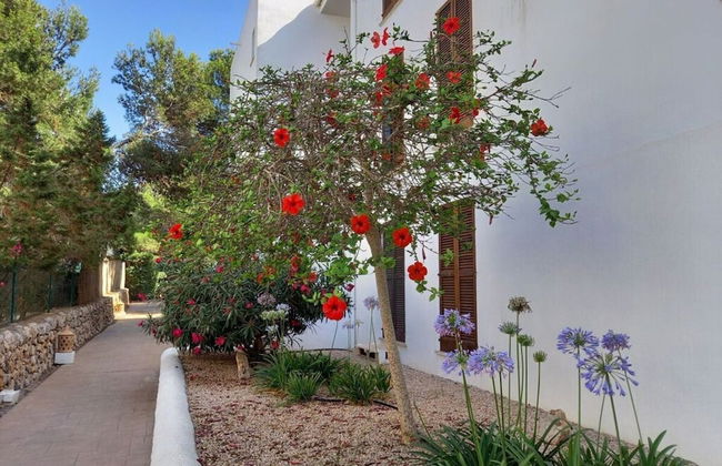 Residence Sirena D'or - Foto 32