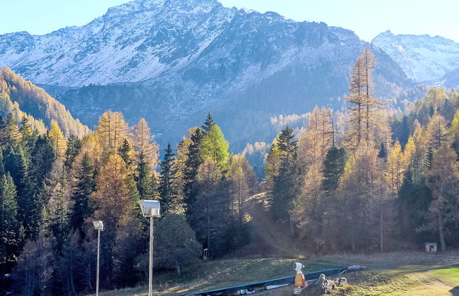 Rosablanche C21 - Photo 18