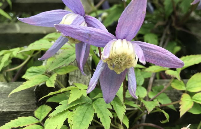 The Struan Inn Self Catering Lodge - Photo 35