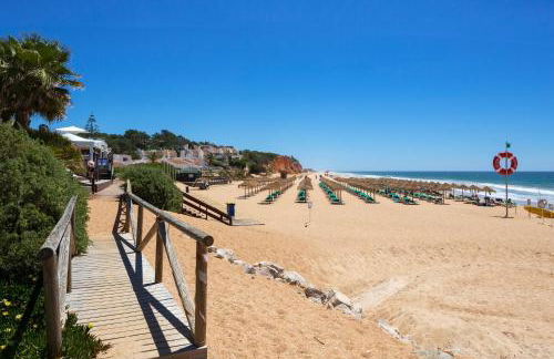 Seagull Rooftop Beach @150 m - Photo 15