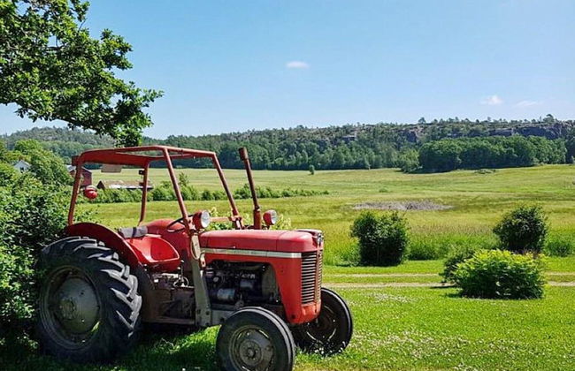 6 Person Holiday Home in Fjallbacka - Photo 9