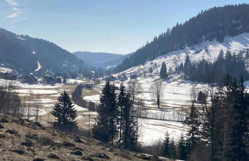 Gemütliche Ferienwohnung in Sankt Blasien - Foto 44