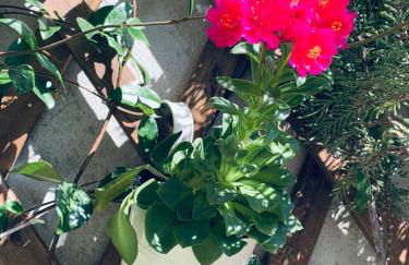 Il borghetto di Torno - Foto 37