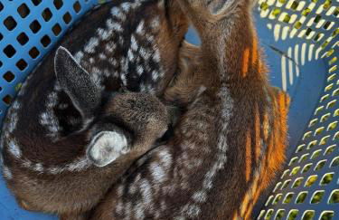 Das Blaue Haus - Foto 22