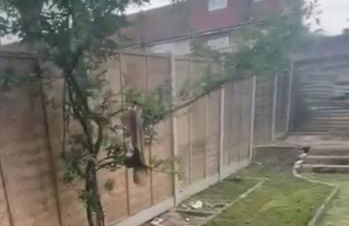 London House near Greenwich, Free Parking, Free WIFI - Foto 28